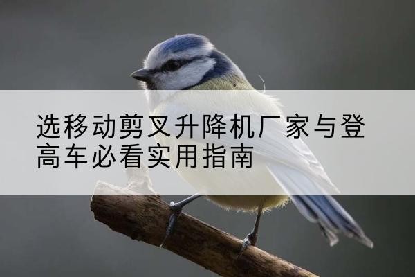 乐清电动升降机厂家-选移动剪叉升降机厂家与登高车必看实用指南