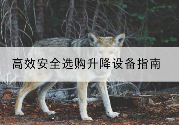 乐清升降货梯厂家推荐-*安全选购升降设备指南