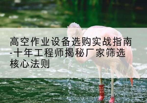 乐清剪叉式升降机厂家-高空作业设备选购实战指南-十年工程师揭秘厂家筛选核心法则
